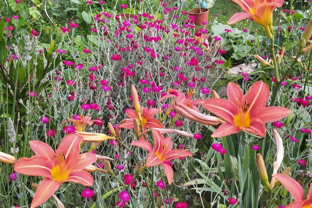Gite Les Lilas La Genevraye Dış mekan fotoğraf